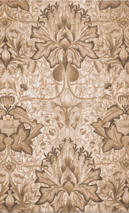 Vintage Background Drawing Decor