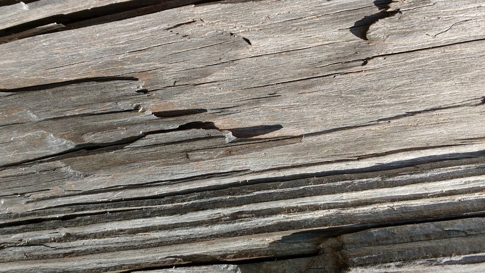 Old Wood Fibers Grain Bleached