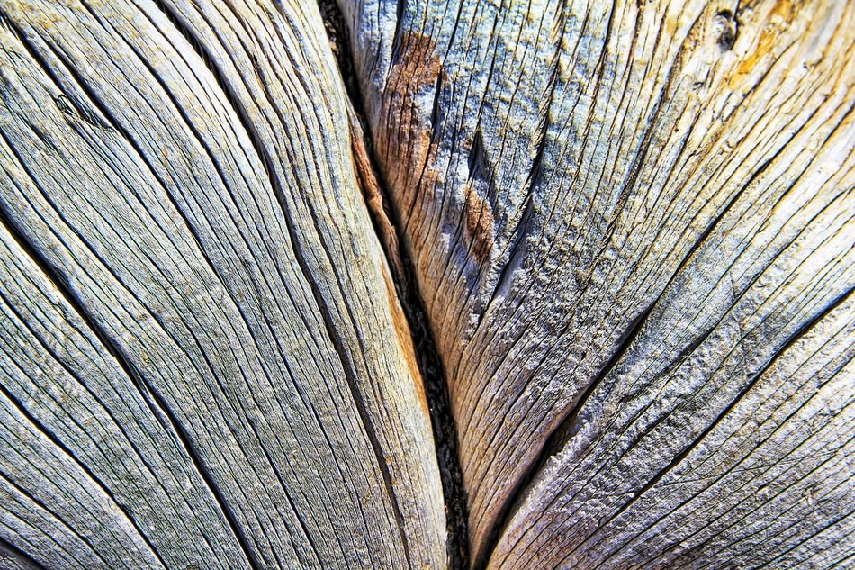 Texture Wood Lines Grain