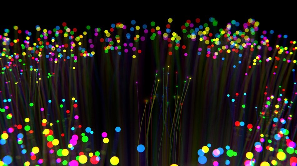 Fibre Optics Christmas Holiday