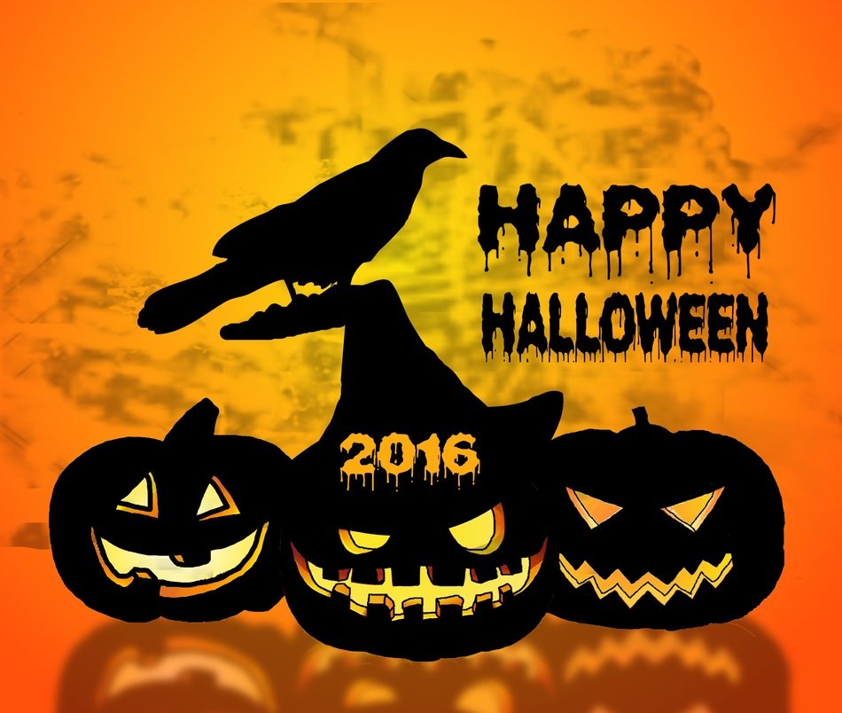 Halloween Pumpkin Raven Graphics
