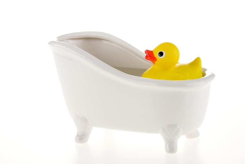 Duck Bath Water Floats Toy