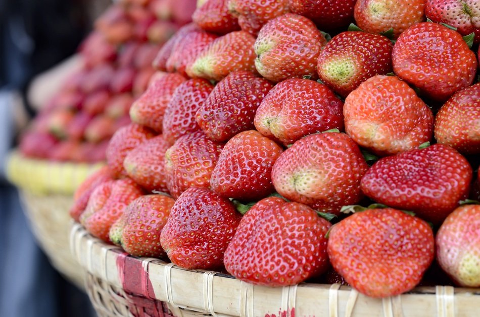Strawberries Red Dalat Vietnam