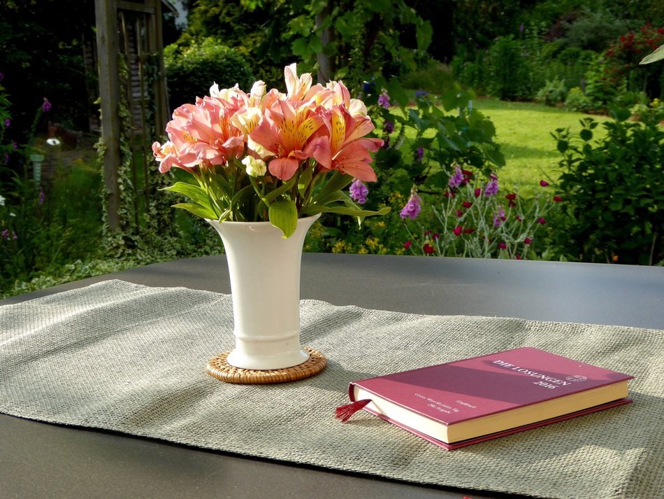Flower Vase Book Flower Orange