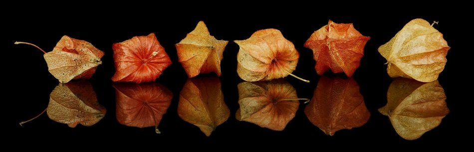 Fall Decorations Autumn Decoration