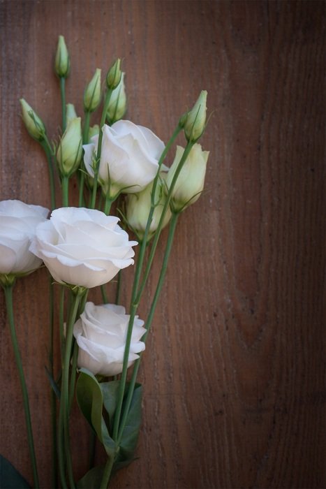 Lisianthus Flower Blossom Bloom