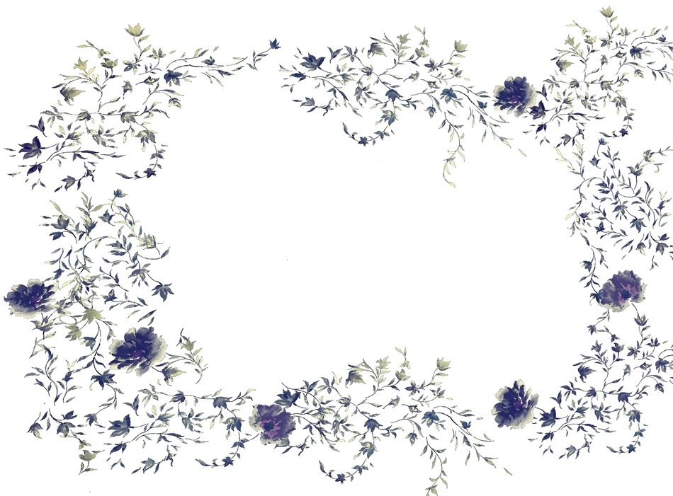 Wallpaper Flower Blue Nature