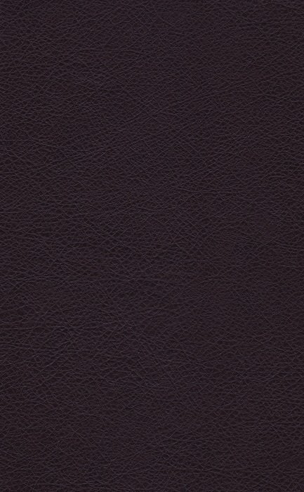 Black background