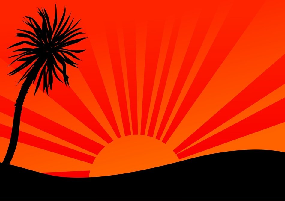 drawing of sunrise in the tropics