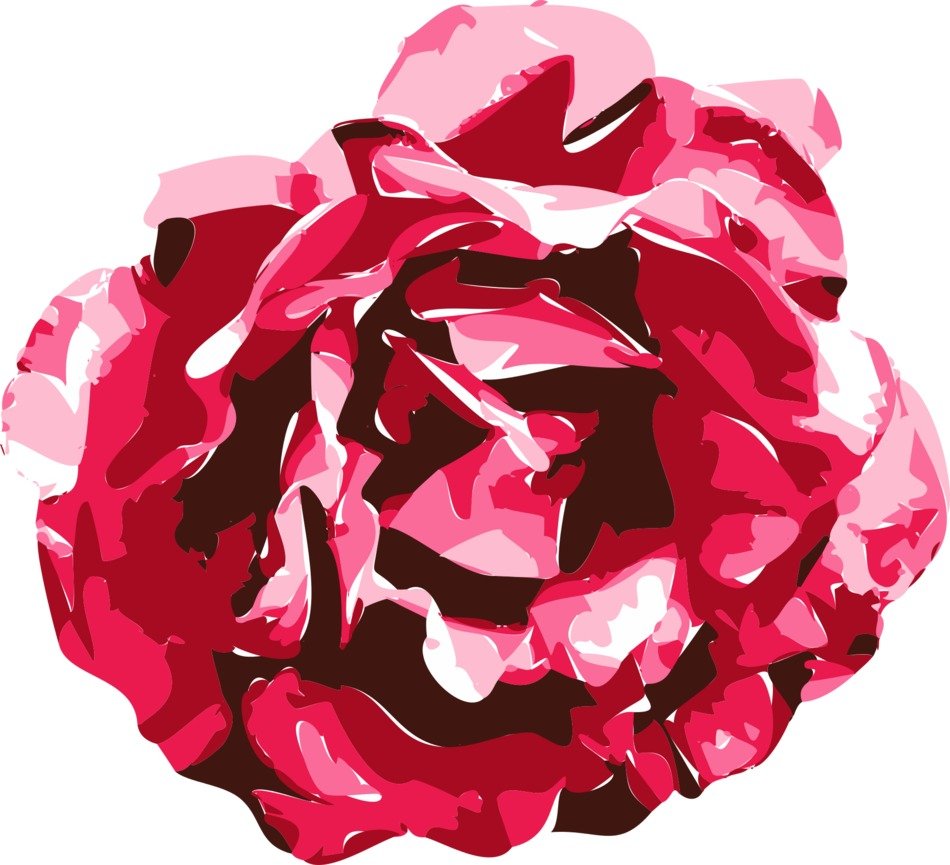 Rose Vector Graphics Drawing