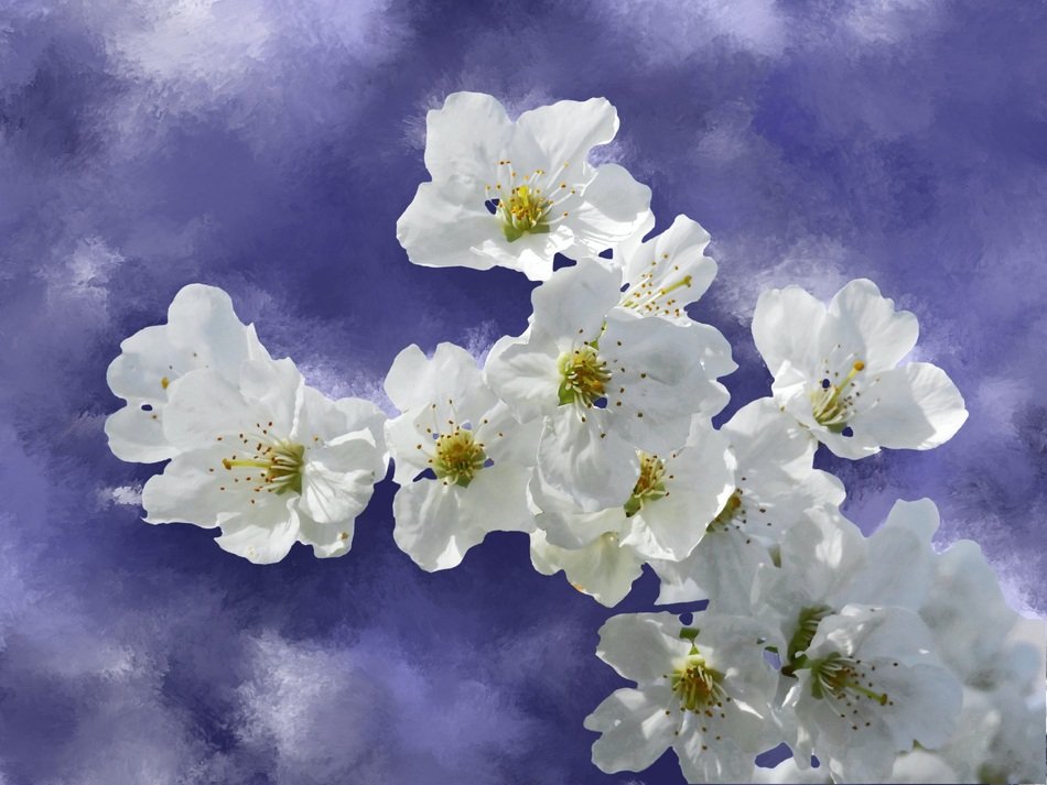 Clipart of background with flowering fruit tree