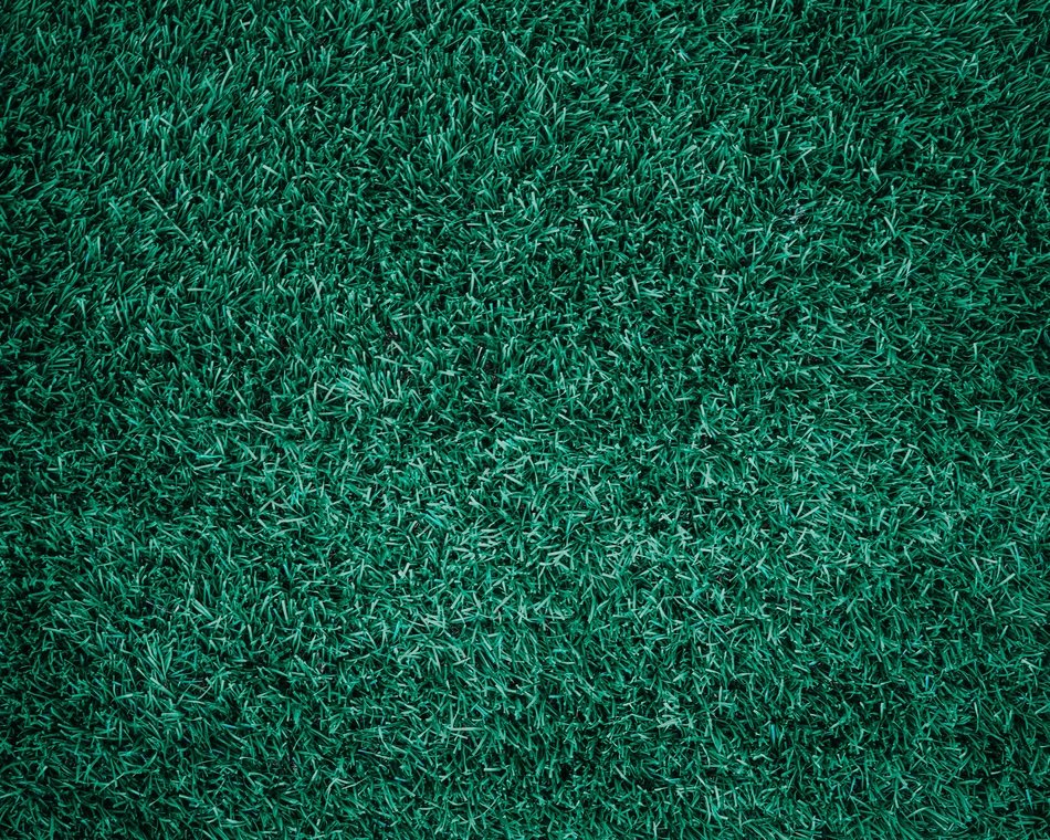 Grass Abstract Backdrop