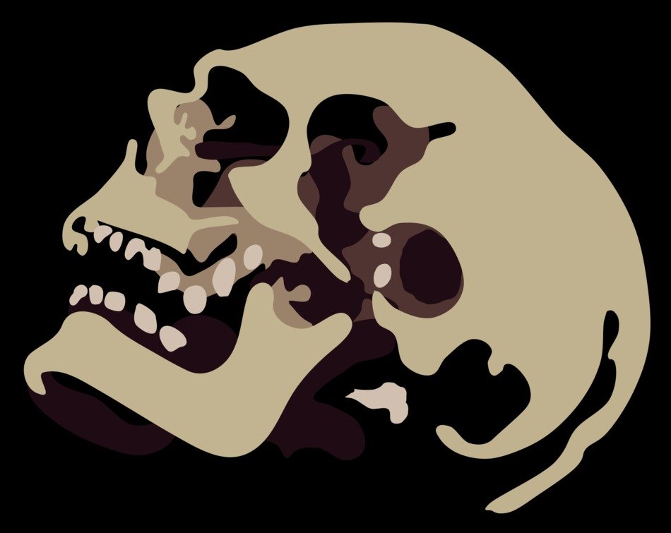 Background Detail Low Skull Tan