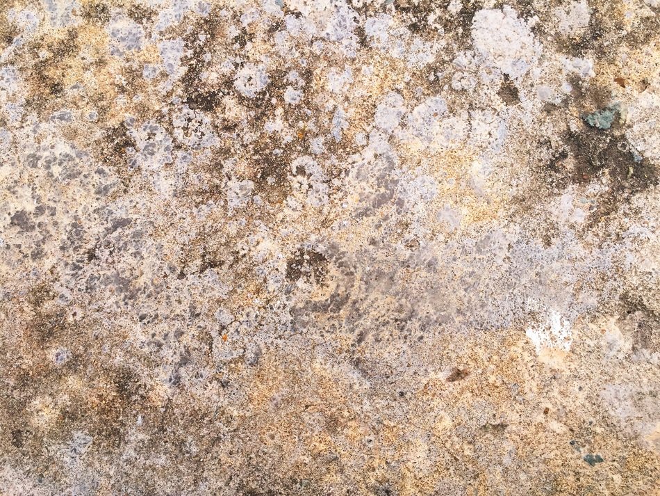 Wall Wild Stone Texture Pattern