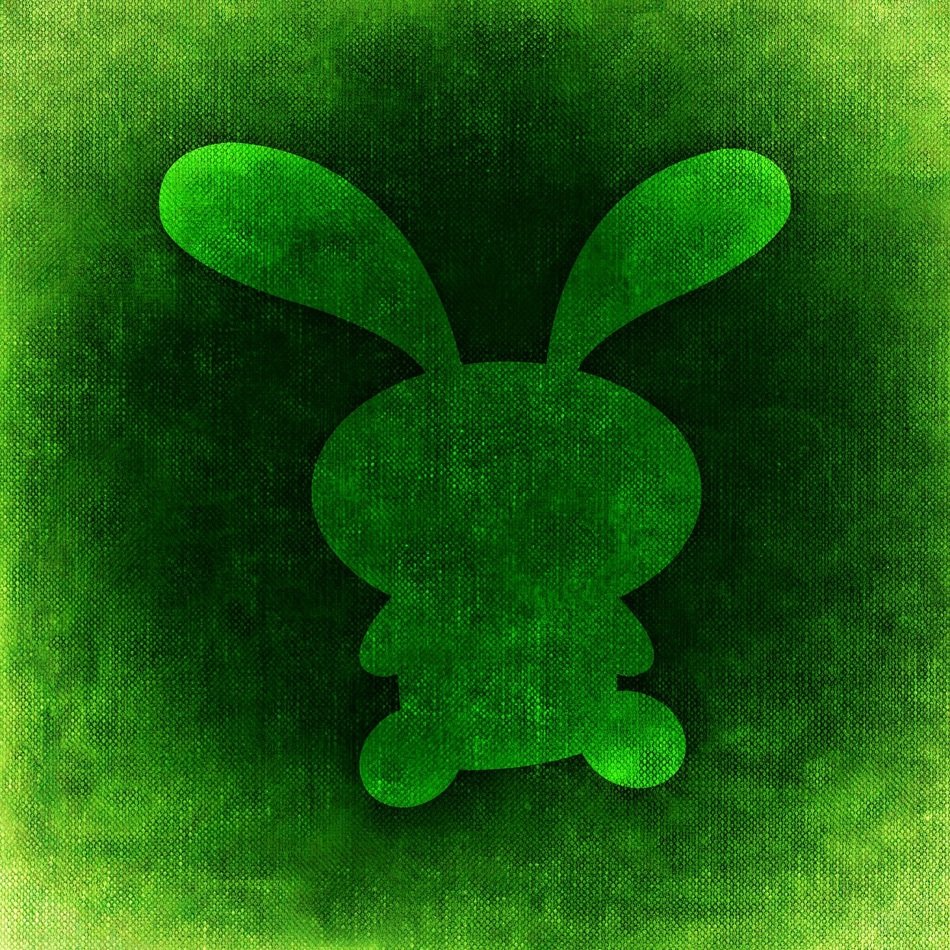 Hare Background Funny Cute