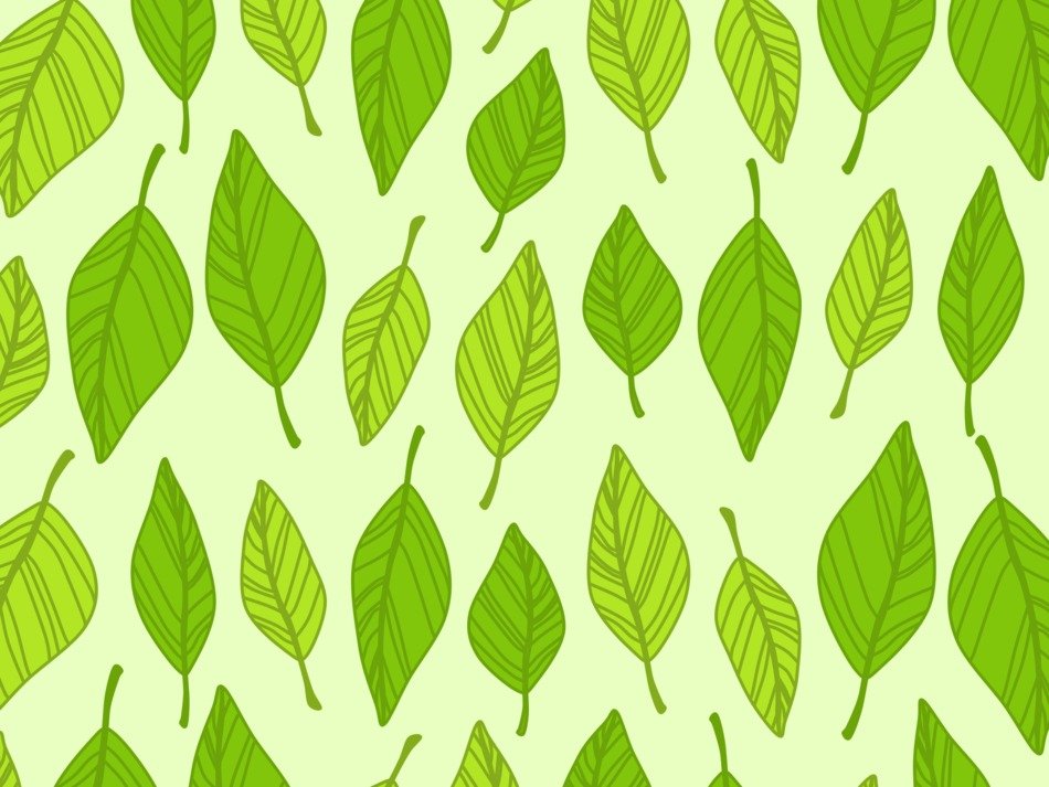 Autumn Background Boxes Green