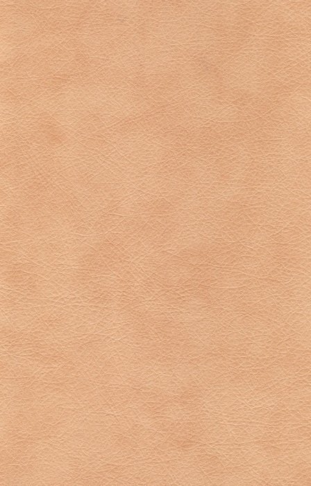 light textural background