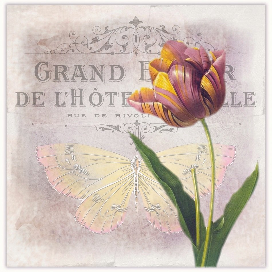 Vintage Flower Tulip Background