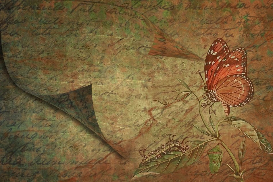 Background Texture Photoshop