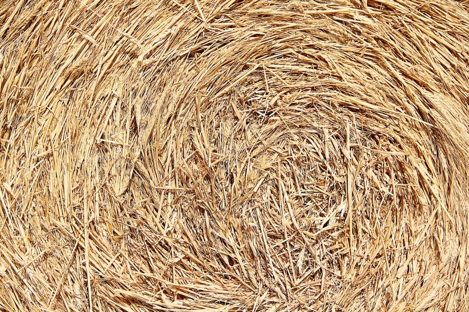 Texture Straw Background Hay