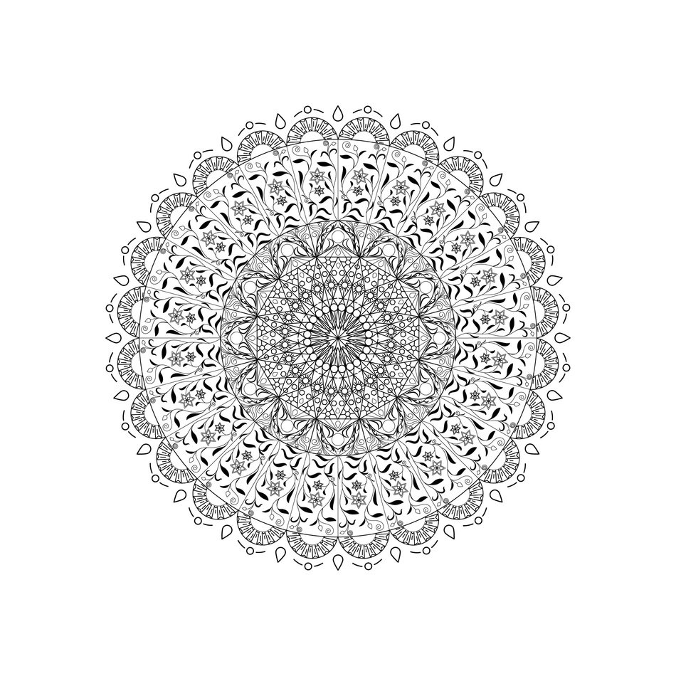 Flower Abstract Floral