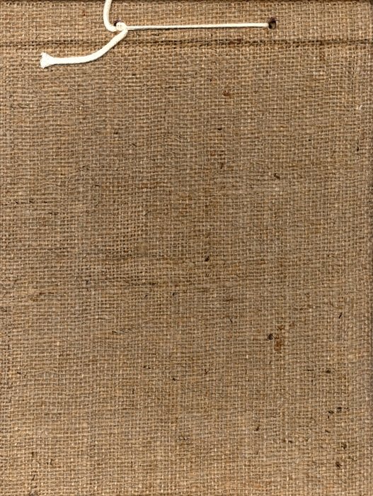 Canvas Texture Background Raw