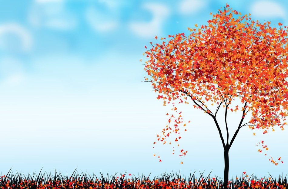Wallpaper Nature Tree Decorative