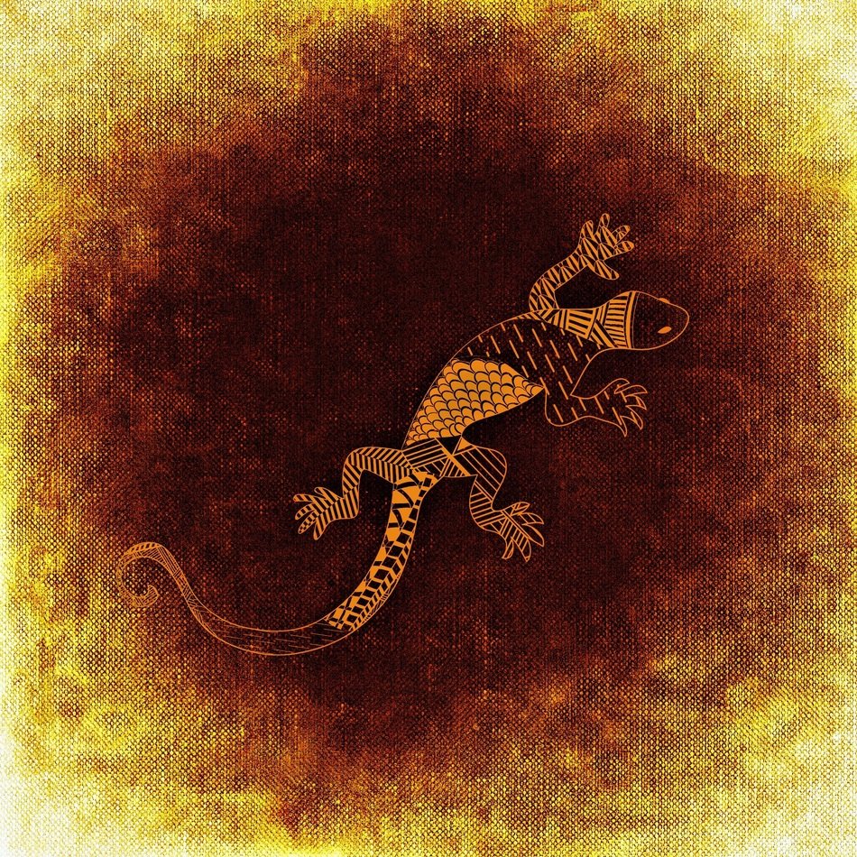 Lizard Reptile Abstract