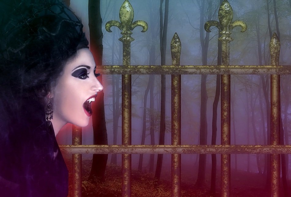 Vampire Background Night Fog