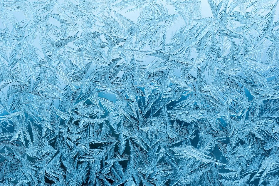 Rime Rainy-D Flower Frost Frozen