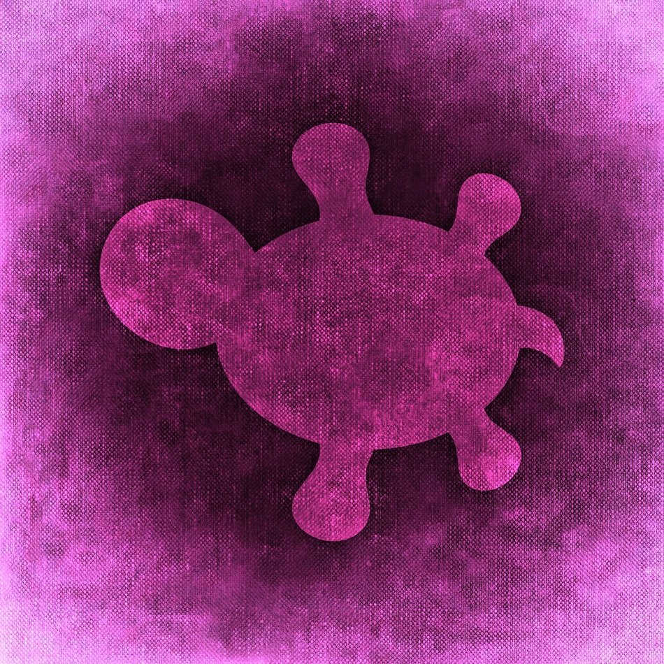 Turtle Background Funny Cute