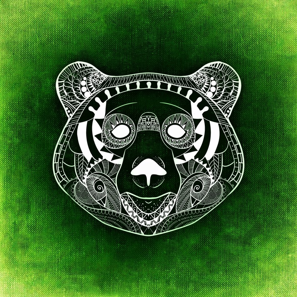 Bear Abstract Background Funny
