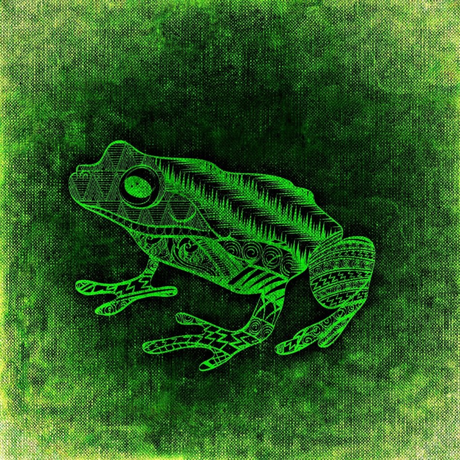 Frog Abstract Background Funny