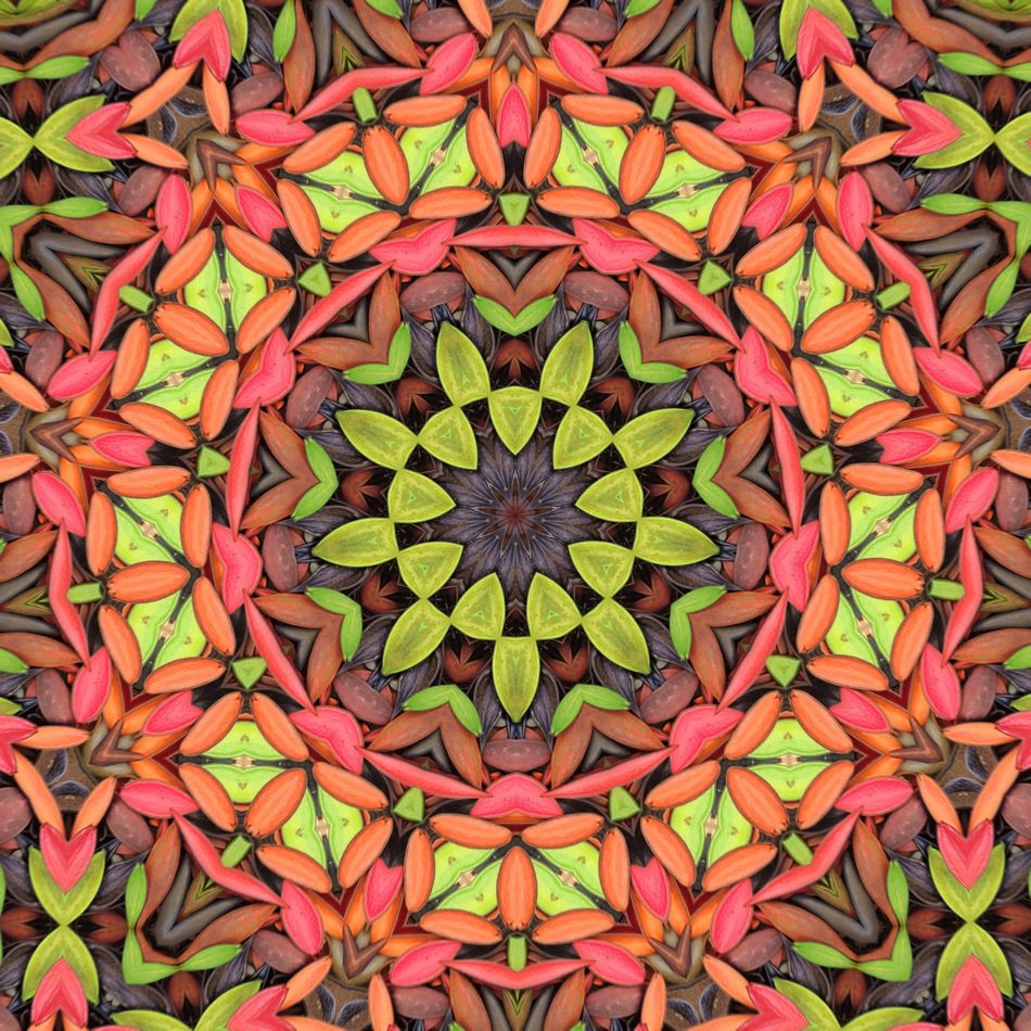 Mandala Kaleidoscope Seeds Pods