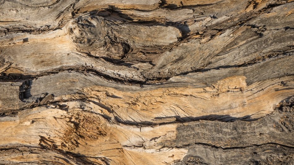 Background Wood Bark Design