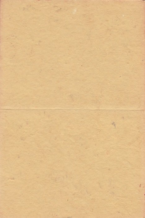 Paper Texture Brown Raw Light