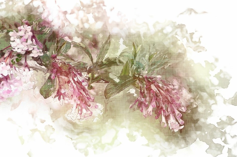 Background Wallpaper Flower Mood