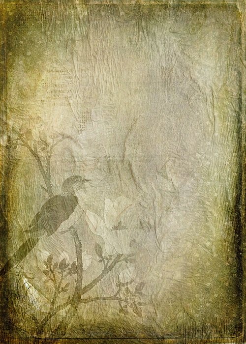 Texture Paper Green