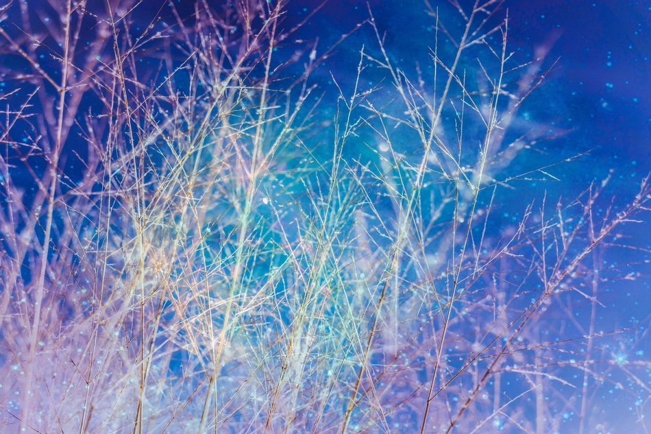 Sky Stars Space Screen Nature