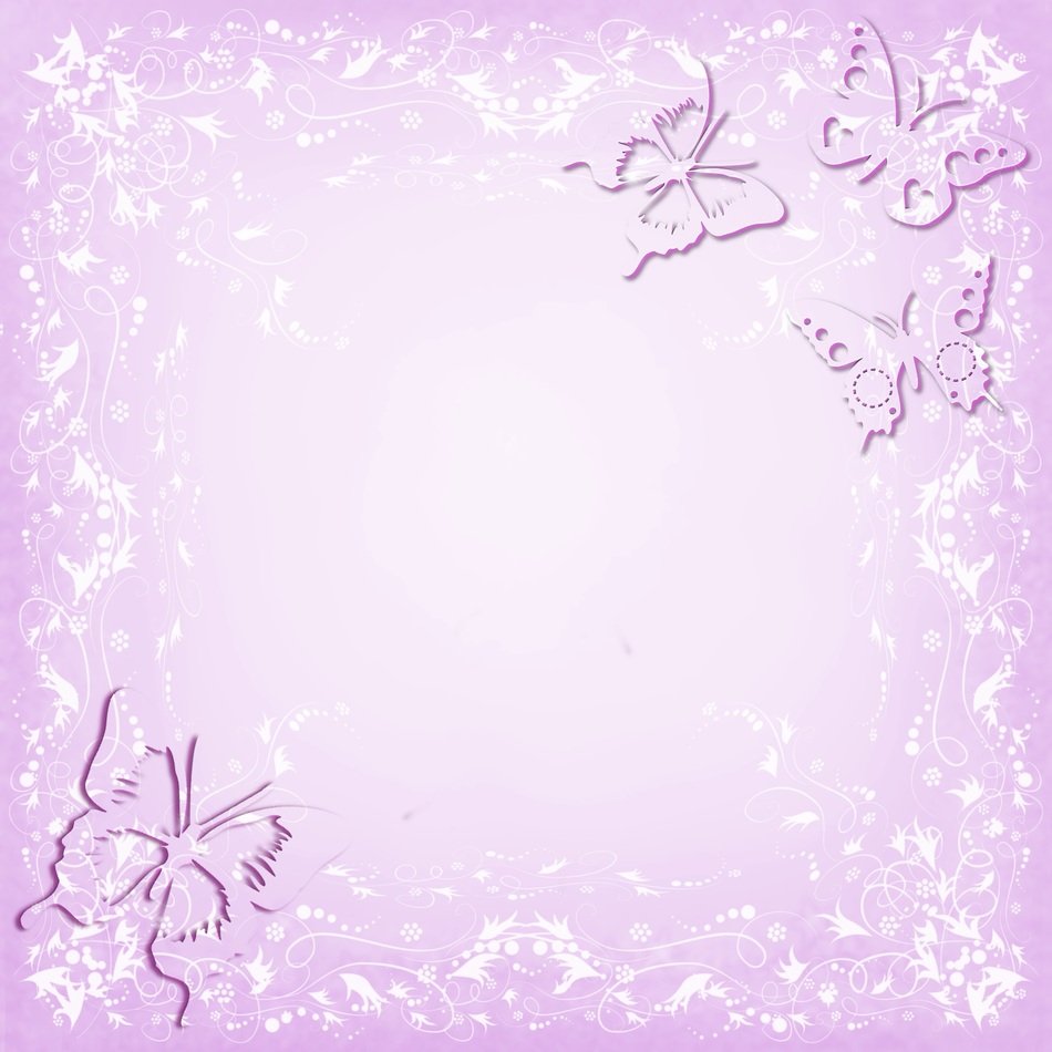 The Background Flowers Butterfly