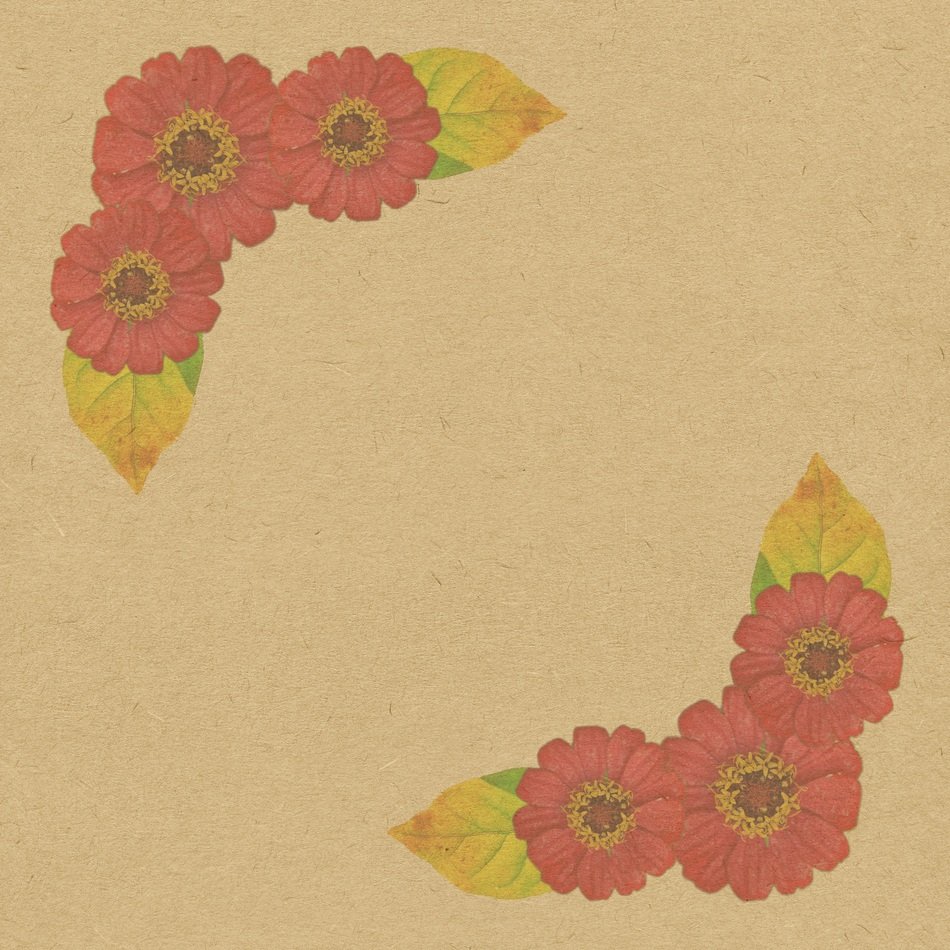Flowers The Background