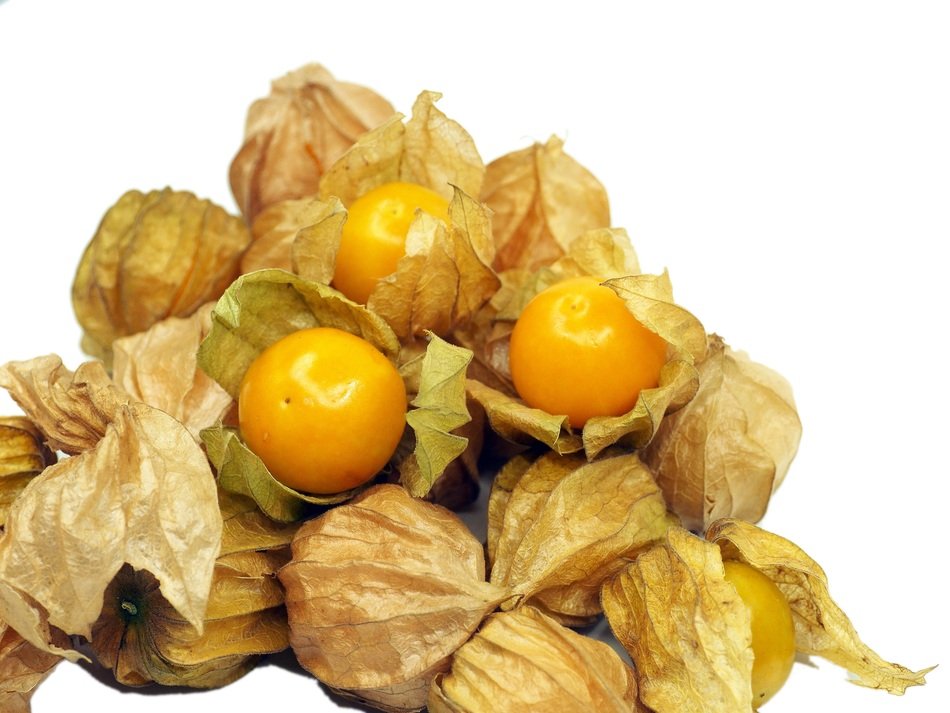 Kut Berry Fruit Health Orange