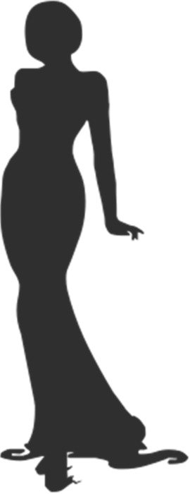 silhouette of a girl in evening dress