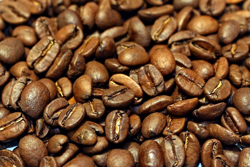 Bean Background Macro Pattern