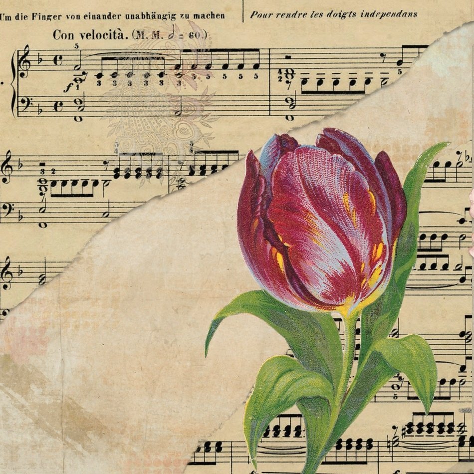 Tulip Background Music Sheet