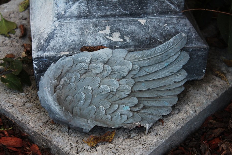 Angel Wing Angel Wings Heaven