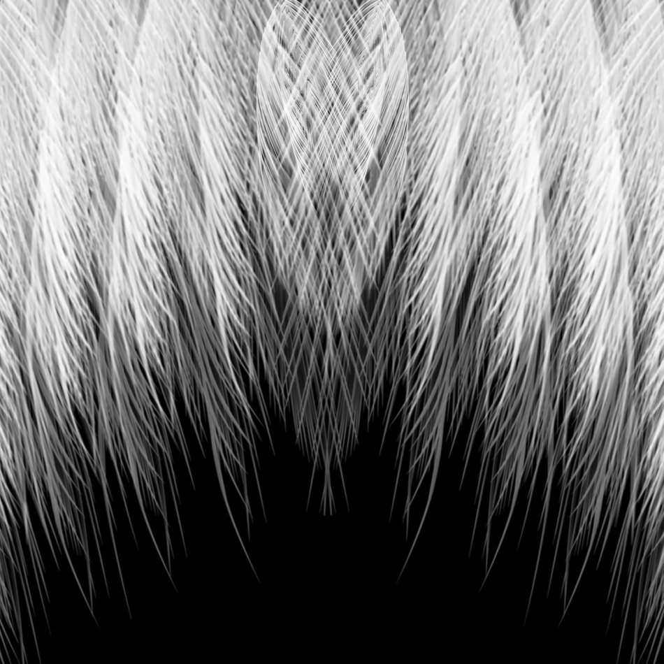 Feather Graphic Design Background