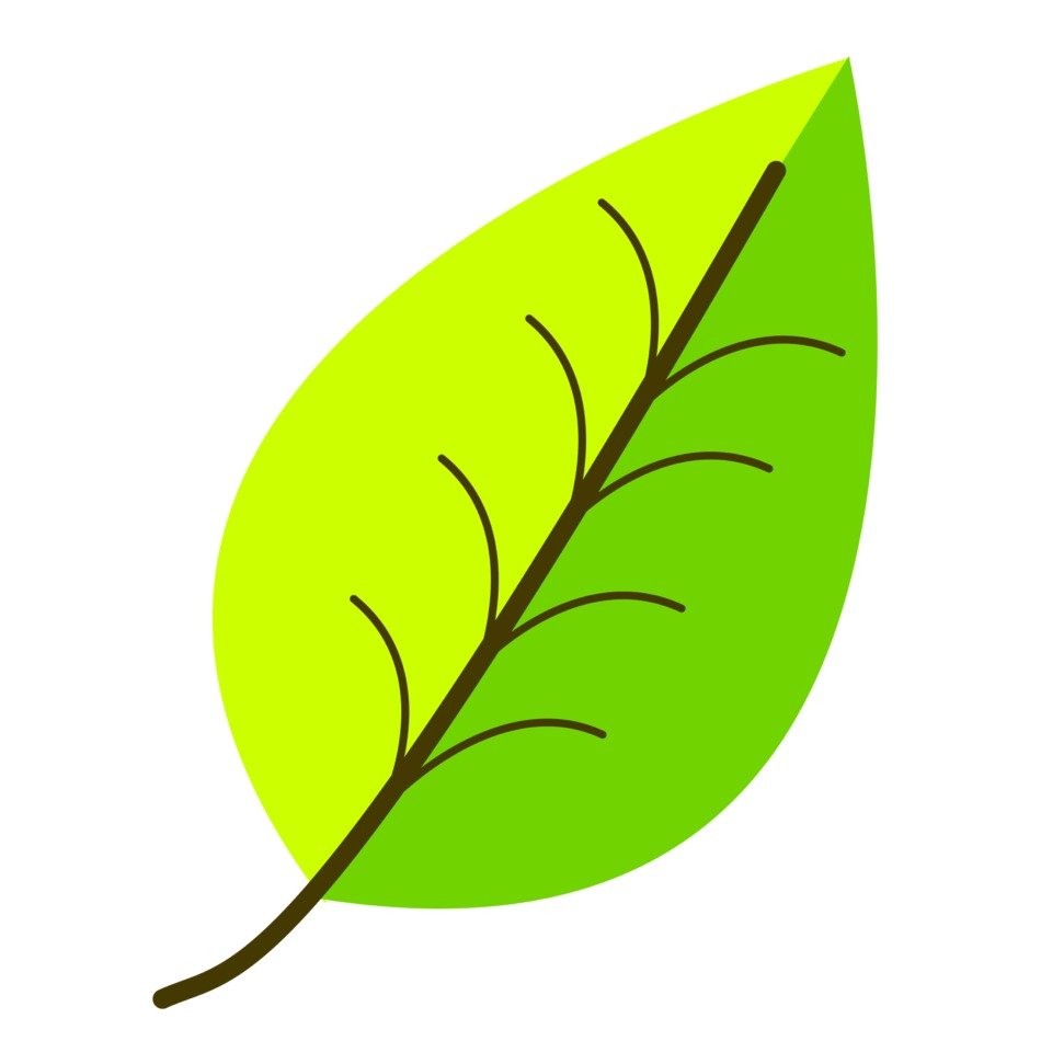 Green Leaf Pattern Shades