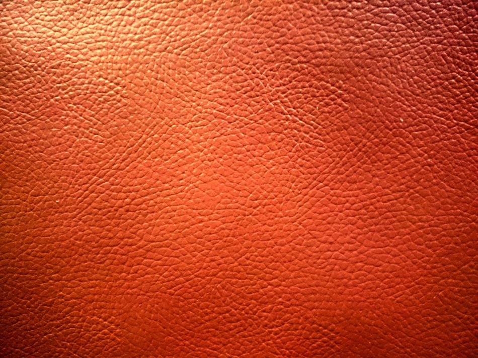 Texture Leather Photo Bright