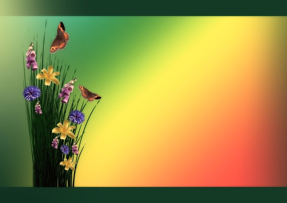 background with meadow flowers and butterflies